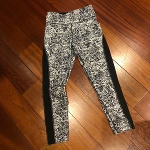Express workout pants